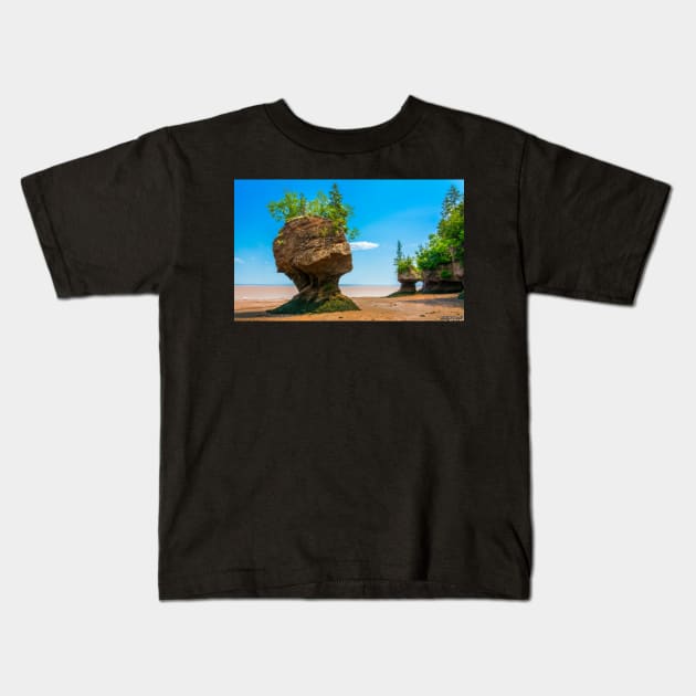 Hopewell Rocks, New Brunswick Canada Kids T-Shirt by kenmo